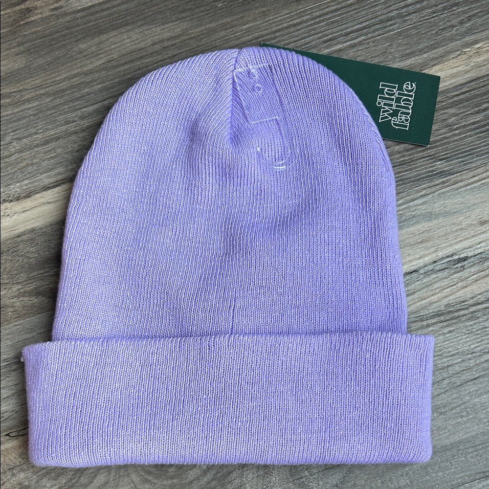 NWT Wild Fable Essential Knit Beanie